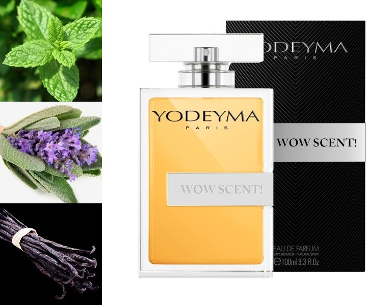 Yodeyma Wow scent parfém pánský 100 ml