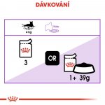 Royal Canin Sterilised Jelly 12 x 85 g – Zboží Mobilmania