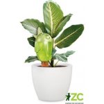 Bördy 16 cm 90 ml 110 S Green – Zboží Dáma