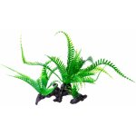JK ANIMALS kapradí na kořenu 16 cm – Zboží Mobilmania