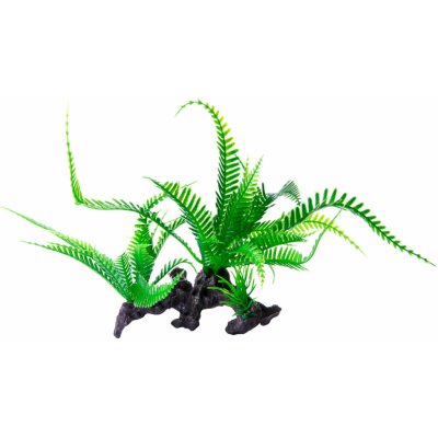 JK ANIMALS kapradí na kořenu 16 cm – Zboží Mobilmania