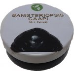 Gaia Store Banisteriopsis Caapi extrakt 50 g – Zbozi.Blesk.cz