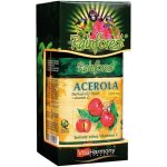 VitaHarmony Acerola 500 mg+Vitamin C 250 mg 90 tablet – Hledejceny.cz