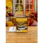 Kringle Candle vonný vosk Amberwood Moss 64 g – Hledejceny.cz