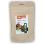 Zdravý den Chaga BIO 100 g – Hledejceny.cz