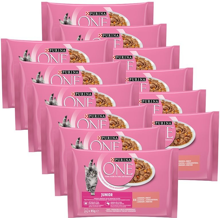 PURINA ONE JUNIOR multibalení 48 x 85 g