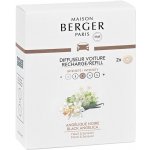 Maison Berger Paris Black Angelica náhradní náplň 2 ks – Hledejceny.cz