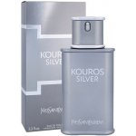 Yves Saint Laurent Kouros Silver toaletní voda pánská 100 ml – Sleviste.cz