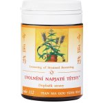 TCM Herbs Uvolnění napjaté tětivy 100 tablet – Hledejceny.cz