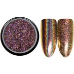Nehtyprofi Lešticí pigment Aurora Color 13 – Hledejceny.cz