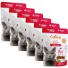 Kapsička pro kočky Calibra Cat Life Adult Beef in gravy 6 x 85 g