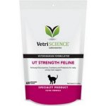 VetriScience UT Strenght doplněk na podporu močových cest pro kočky 90 g – Hledejceny.cz