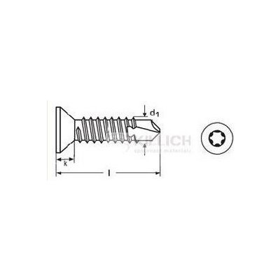 tex 4.8x50 ZINEK zápustná hlava TORX DIN 7504P TX-25 – Zboží Mobilmania