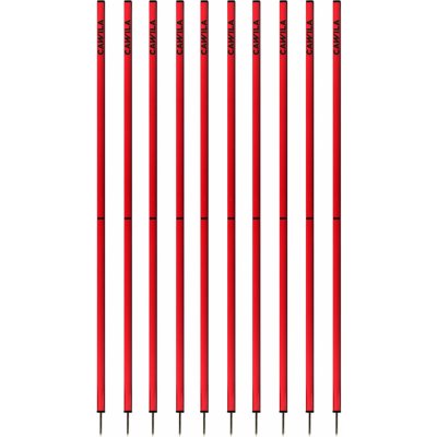 Cawila ACADEMY Slalom poles 10pack 1000871810 – Zboží Mobilmania