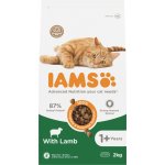 Iams Cat Adult Lamb 2 kg – Hledejceny.cz