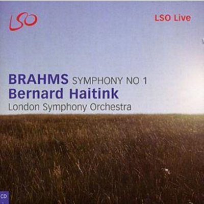 Brahms Johannes - Symphony No.1 CD – Hledejceny.cz