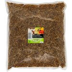 UGF sušený moučný červ 1 kg – Zboží Dáma