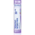 GELSEMIUM SEMPERVIRENS POR 30CH GRA 1X4G – Hledejceny.cz