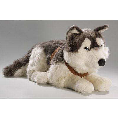 pes husky 60 cm