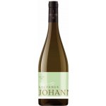Johann W Třebívlice Sylvaner České zemské víno 13% 0,75 l (holá láhev) – Hledejceny.cz