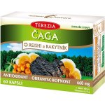 Čaga Reishi Rakytník antioxidant 60 kapslí – Hledejceny.cz