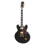 Epiphone "B. B. King" – Hledejceny.cz