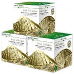 GUARANAPLUS Roční balení 3 x 30 sáčků Inca Collagen Exotic Herbs mořský kolagen 270 g – Hledejceny.cz