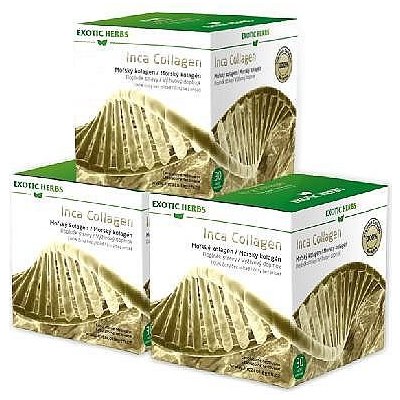 GUARANAPLUS Roční balení 3 x 30 sáčků Inca Collagen Exotic Herbs mořský kolagen 270 g – Hledejceny.cz