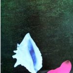 New Order Touched By the Hand Of God Single LP – Hledejceny.cz