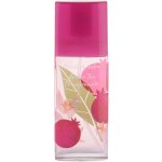 Elizabeth Arden Green Tea toaletní voda dámská 50 ml – Hledejceny.cz
