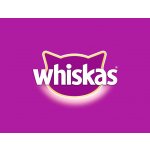 Whiskas pro dospělé kočky klasický výběr ve šťávě 12 x 100 g – Hledejceny.cz