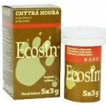 Ecosin Chytrá houba 3 x 3 g – Zbozi.Blesk.cz