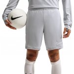 Nike Dri-Fit Academy 25 – Hledejceny.cz