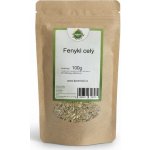 Koření XXL Fenykl celý 100 g – Hledejceny.cz