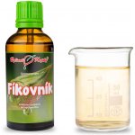 Fíkovník tinktura z pupenů 50 ml gemmoterapie doplněk stravy – Hledejceny.cz