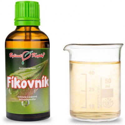 Fíkovník tinktura z pupenů 50 ml gemmoterapie doplněk stravy