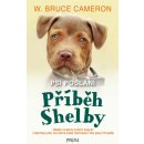 Psí poslání: Příběh Shelby - Bruce W. Cameron