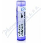 CALCAREA CARBONICA POR 30CH GRA 1X4G – Hledejceny.cz