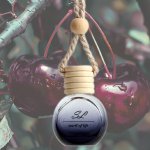 Smell of Life ,,Black Cherry" 10 ml – Zboží Mobilmania