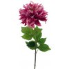 Květina Jiřinka - Dahlia 'Mumba' červená (beauty) V63 cm (N968716)