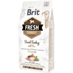Brit Fresh Turkey with Pea Light Fit & Slim 12 kg – Hledejceny.cz