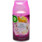 Air wick náplň Summer Delights 250 ml – Zboží Dáma