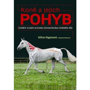 Koně a jejich pohyb