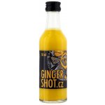 GingerShot Ginger Shot 50 ml – Zboží Dáma