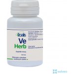 Joalis VelienHerb VelienHelp 100 kapslí – Hledejceny.cz