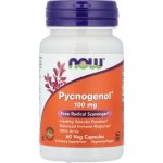 Now Foods Pycnogenol 100 mg 60 kapslí – Hledejceny.cz
