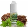 EXPRAN GmbH ArtVap Mint Tobacco 10 ml