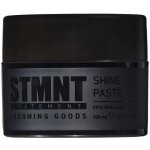 STMNT Shine Paste 100 ml – Hledejceny.cz