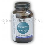 Viridian Pycnogenol with Grape Seed Extract 60 kapslí – Hledejceny.cz