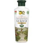 Herbária se ruj vlasaté citrónová příchuť 250 ml – Sleviste.cz